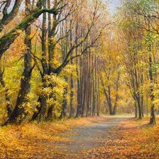 Схема вышивки «осенняя аллея»