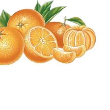 Схема вышивки «№1637295»