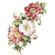 Схема вышивки «№1637395»