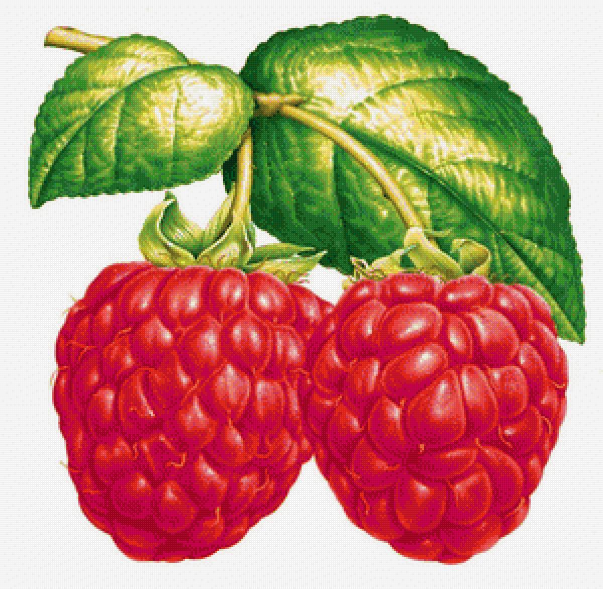 Малинка - предпросмотр