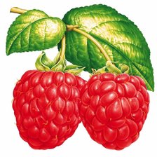 Схема вышивки «Малинка»