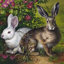 Схема вышивки «№1637561»