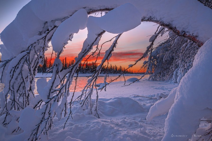 Зимний вечерний закат - снег, закат, вечер, зима - оригинал