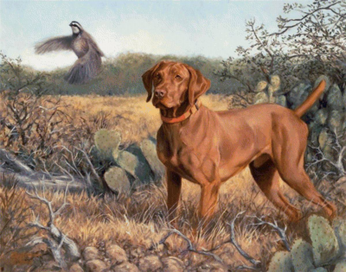 №1637844 - предпросмотр