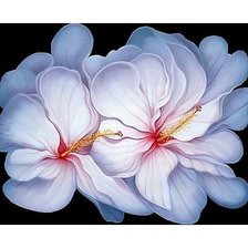 Схема вышивки «№1637885»