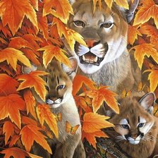 Схема вышивки «Пумы»