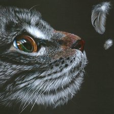 Схема вышивки «Перышко»