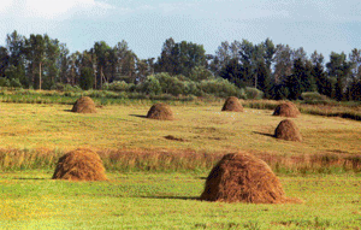 Ностальгия - поле, стога, сено - предпросмотр