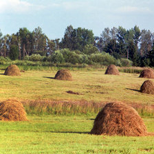 Схема вышивки «Ностальгия»