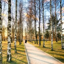 Схема вышивки «Аллея»