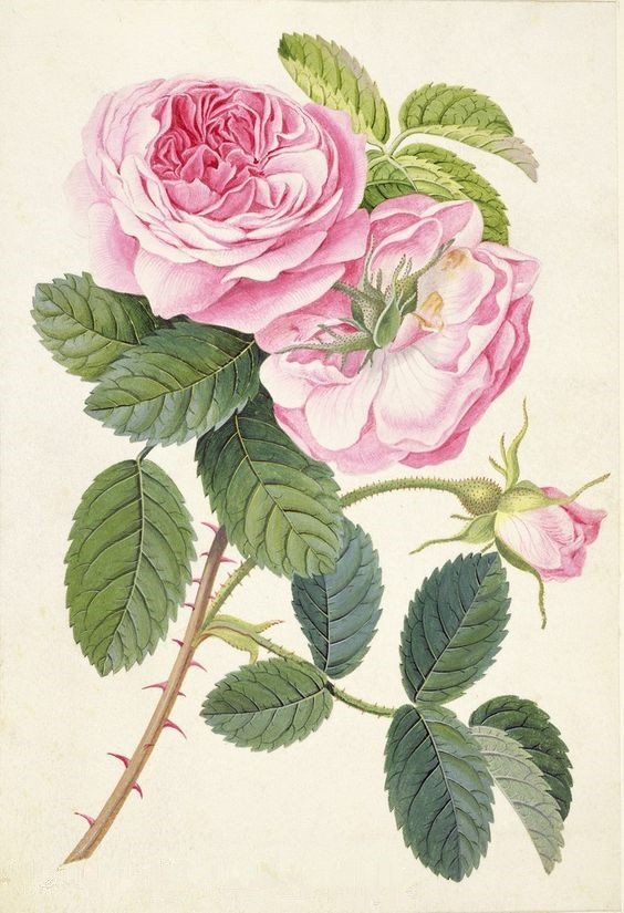 №1638610 - оригинал