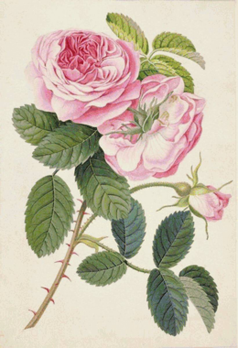 №1638610 - предпросмотр