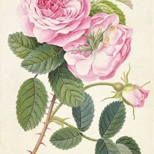 Схема вышивки «№1638610»