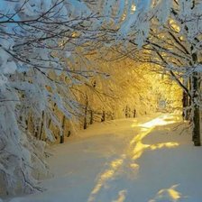 Дорога в сказку