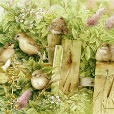 Схема вышивки «воробьи на заборе»