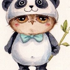 Схема вышивки «Совушка панда»