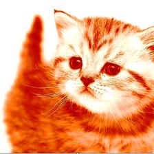 Схема вышивки «котик»