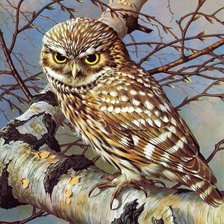 Схема вышивки «№1639865»