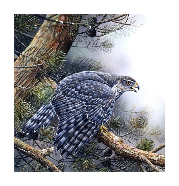 №1639869 - оригинал