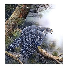 Схема вышивки «№1639869»