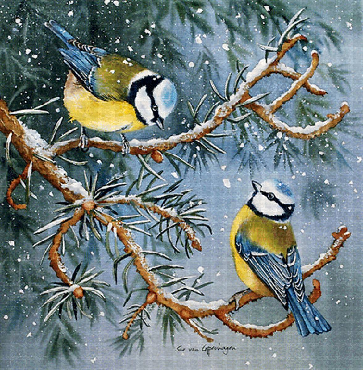 синички - зима, пейзаж, природа - предпросмотр