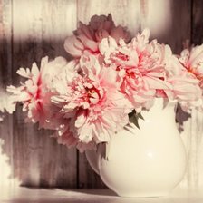 Схема вышивки «пионы»