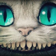 Схема вышивки «чеширский Кот»