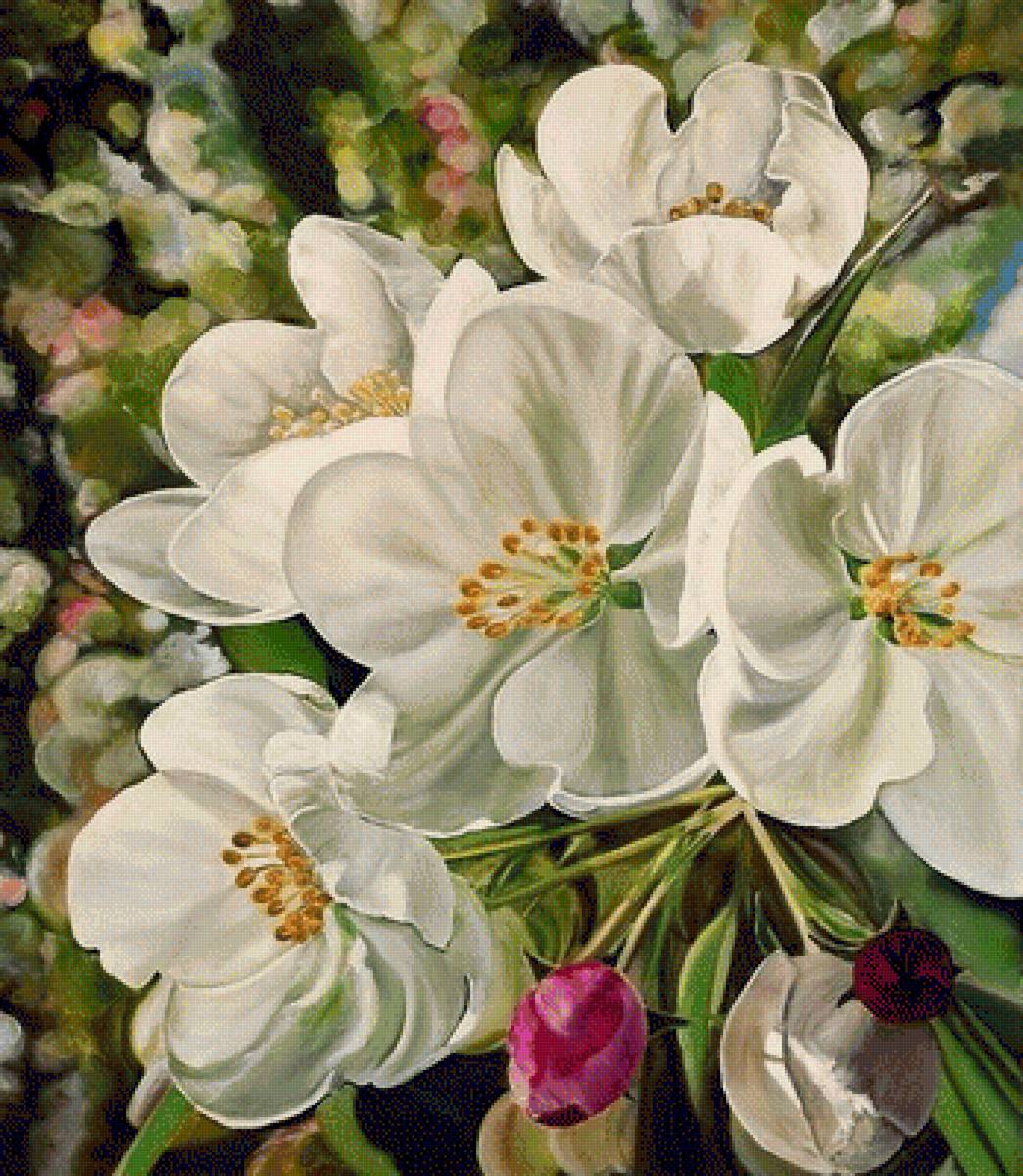 Apple flowers - предпросмотр