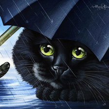 Схема вышивки «Котик»