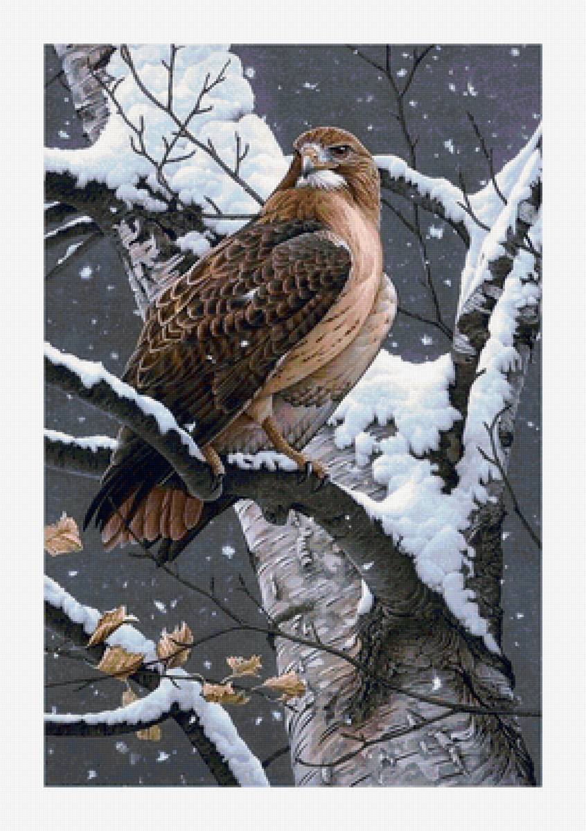 №1641478 - предпросмотр