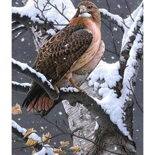 Схема вышивки «№1641478»