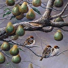 Схема вышивки «№1641480»