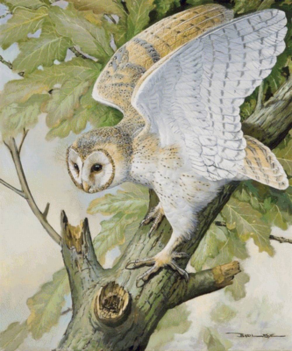 сова - природа, пейзаж - предпросмотр