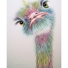 Схема вышивки «№1642122»