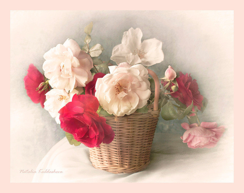 №1642508 - оригинал