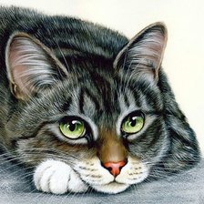 Схема вышивки «взгляд»