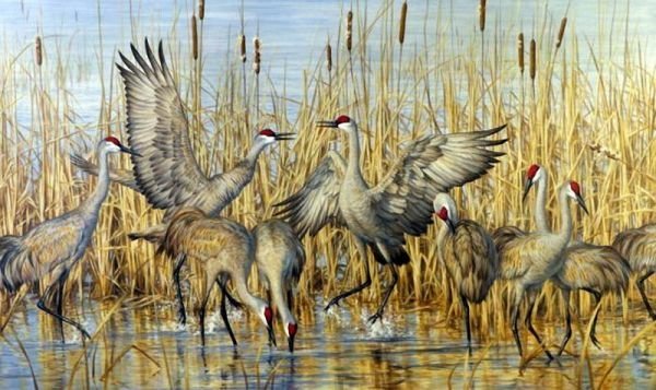 żurawie - оригинал