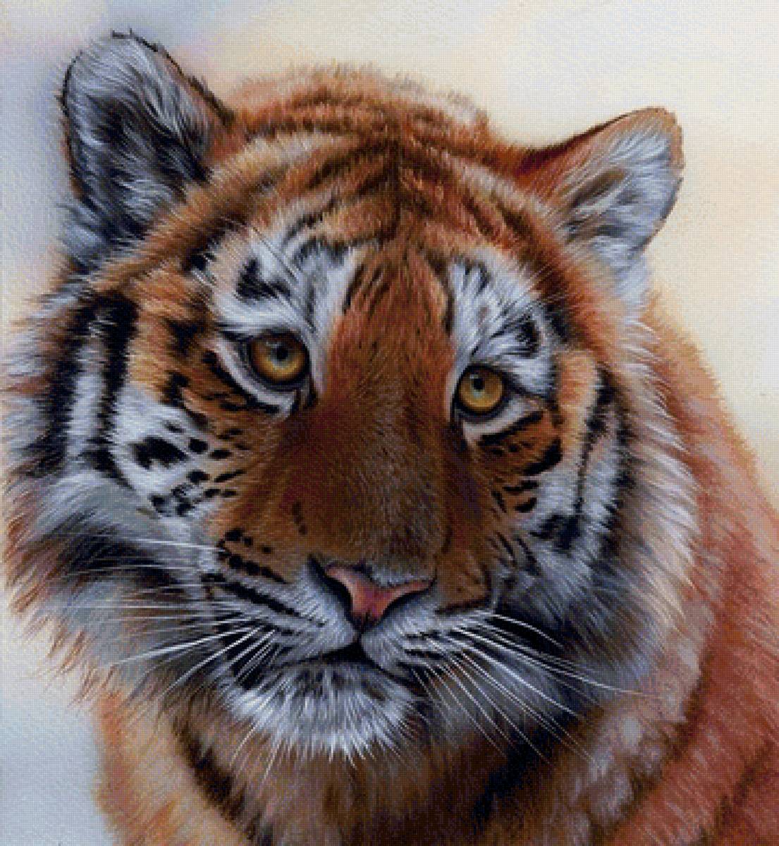 Тигруша - живопись, животные - предпросмотр