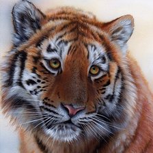 Схема вышивки «Тигруша»