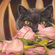 Схема вышивки «Кот и розы»