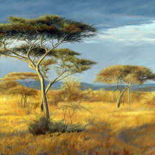 Схема вышивки «№1643238»