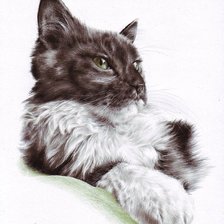 Схема вышивки «№1643245»