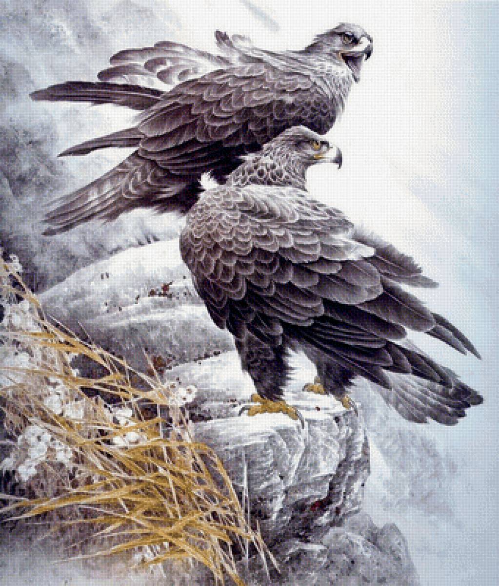 №1643266 - предпросмотр