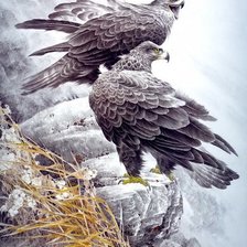 Схема вышивки «№1643266»