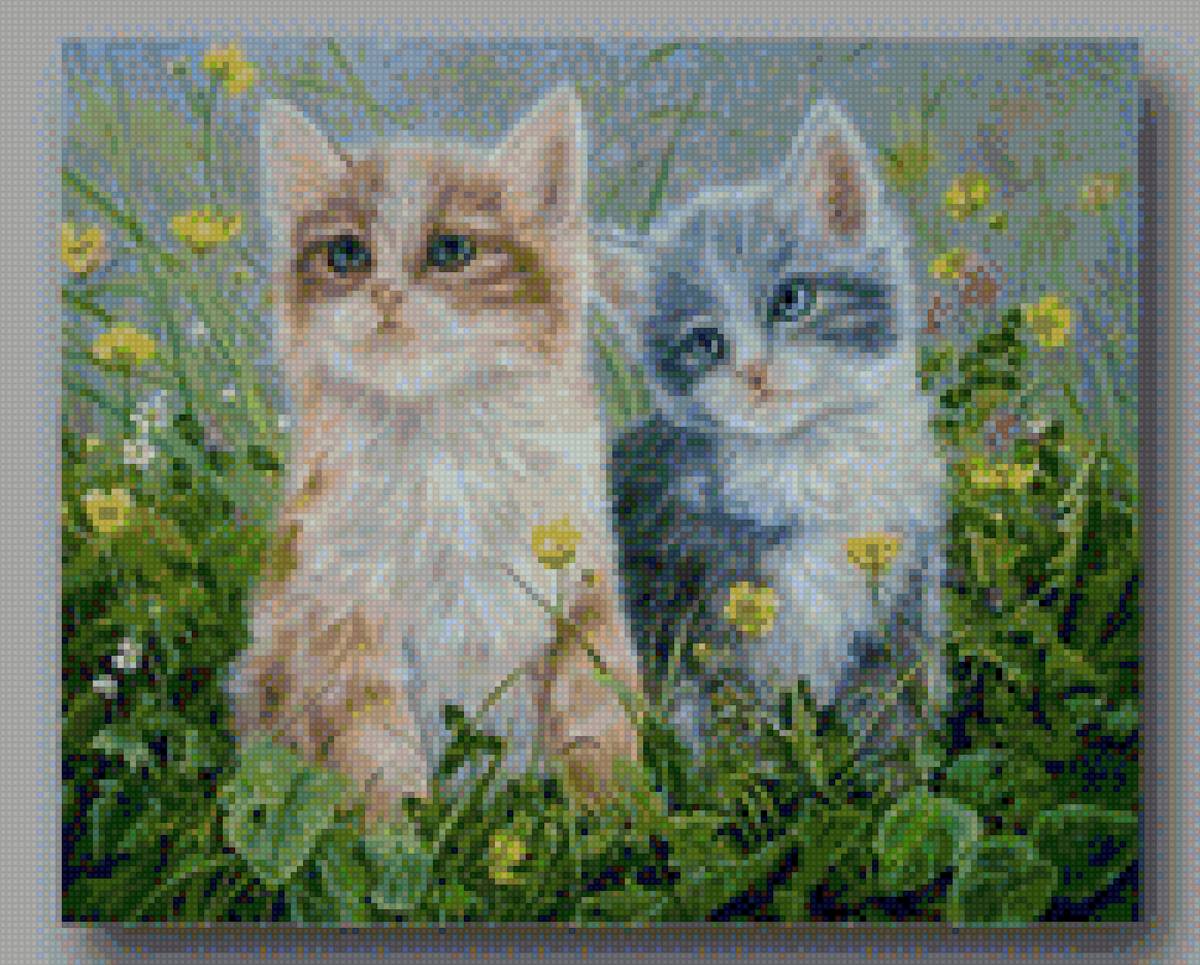 virgen33 - предпросмотр