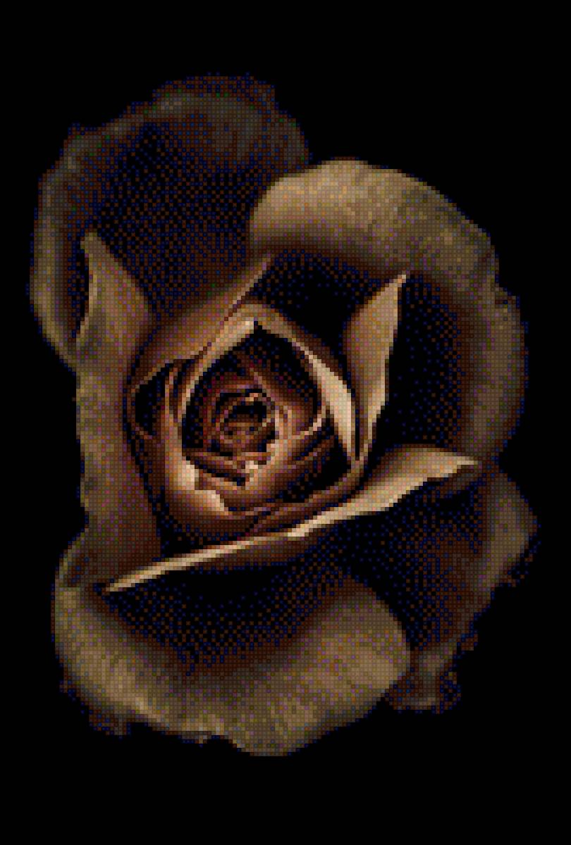 roza šokolad - предпросмотр