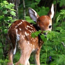 Схема вышивки «Малыш»