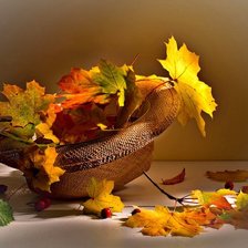 Схема вышивки «шляпа»