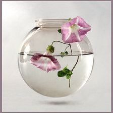 Схема вышивки «вьюн»