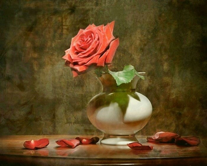 Красная роза в вазе - ваза, роза, цветы - оригинал